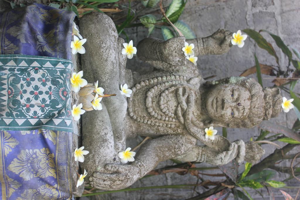 Donald Home Stay Ubud Buitenkant foto