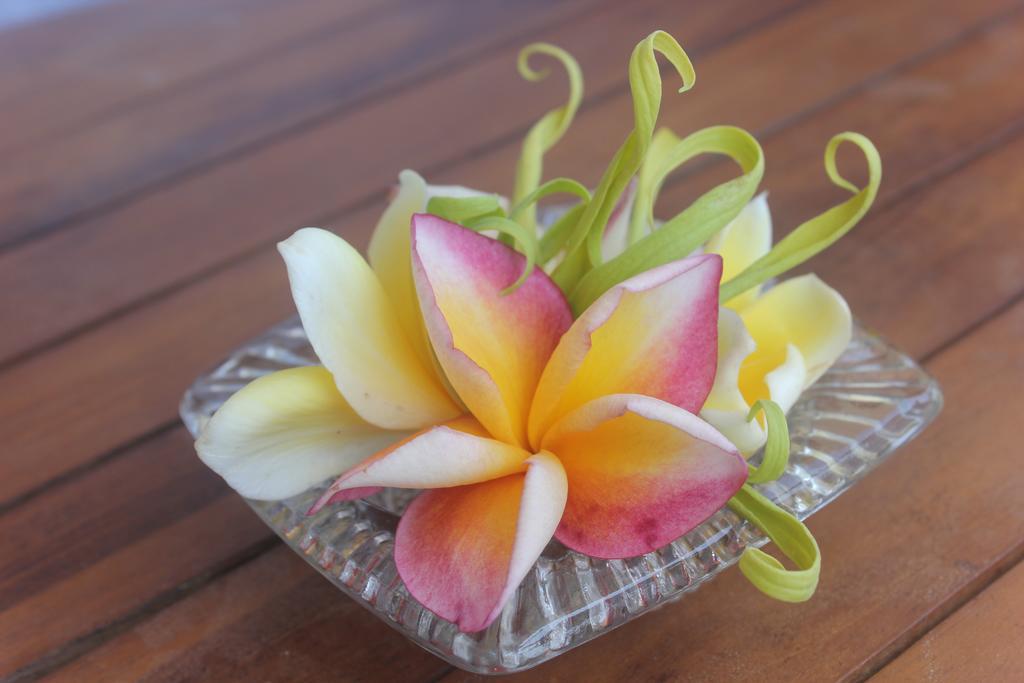 Donald Home Stay Ubud Buitenkant foto